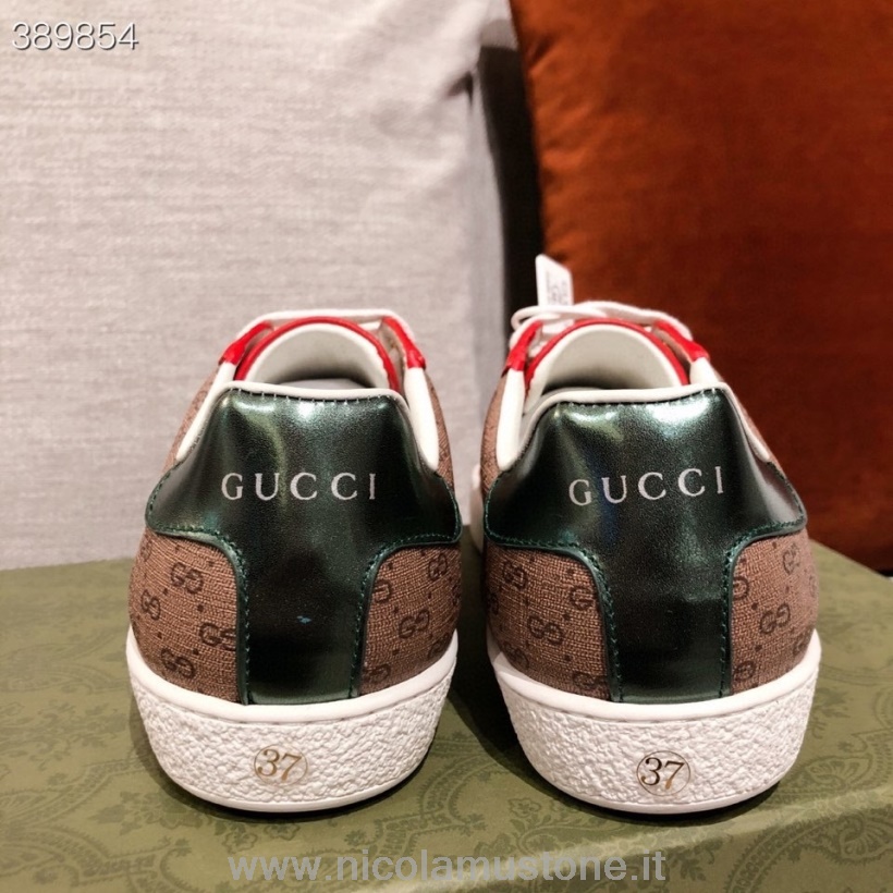 Qualità Originale Sneakers Gucci X Doraemon Ace Pelle Di Vitello Collezione Autunno/inverno 2021 Marrone
