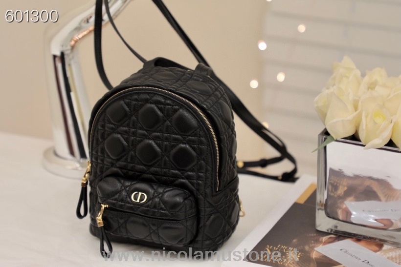 Originální Kvalitní Christian Dior Mini Batoh 22cm Jehněčí Kůže Zlatý Hardware Podzim/zima 2021 Kolekce černá